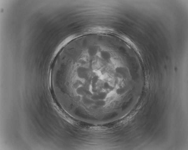 X0000087411227200704201353