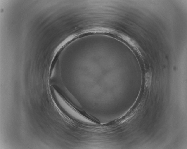 X0000087411229200704201353