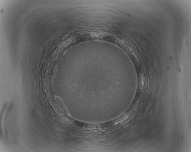 X0000087411249200704201352