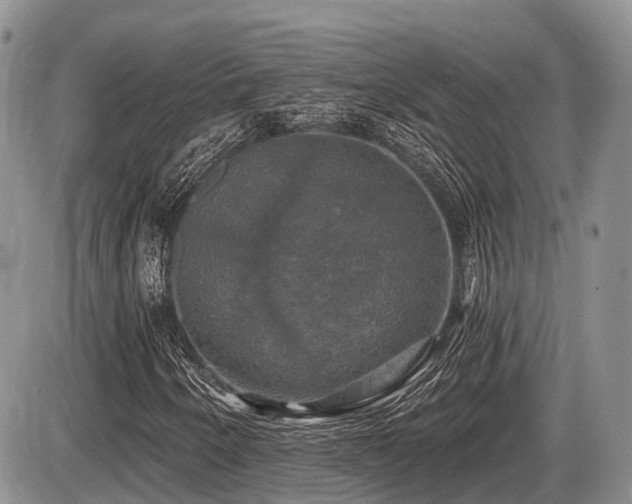 X0000087411250200704201352