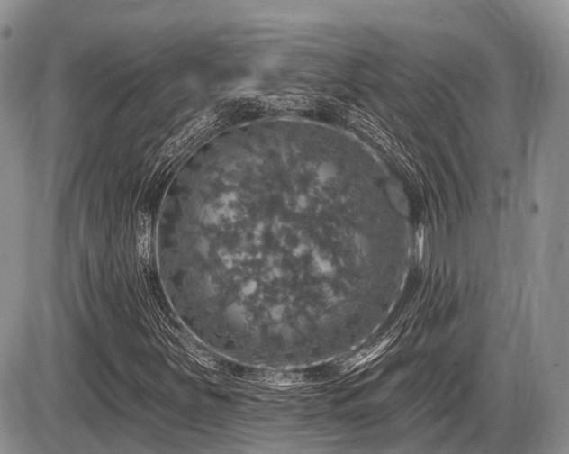 X0000087411251200704201352
