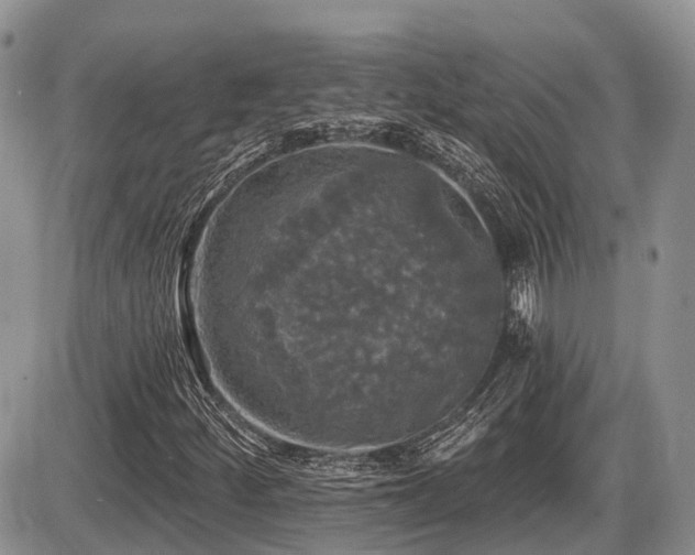 X0000087411252200704201352