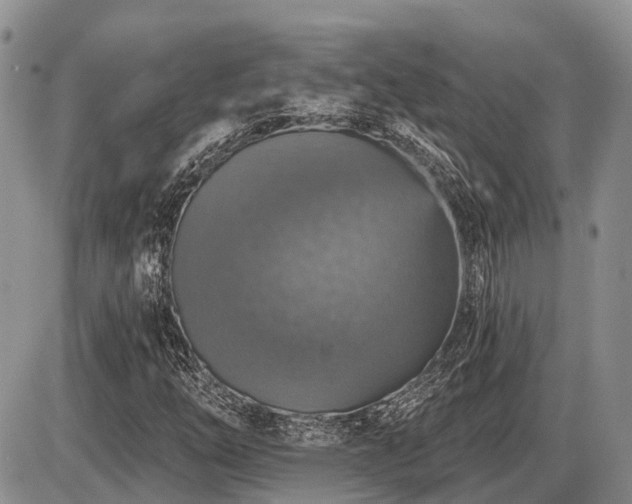 X0000087411254200704201352