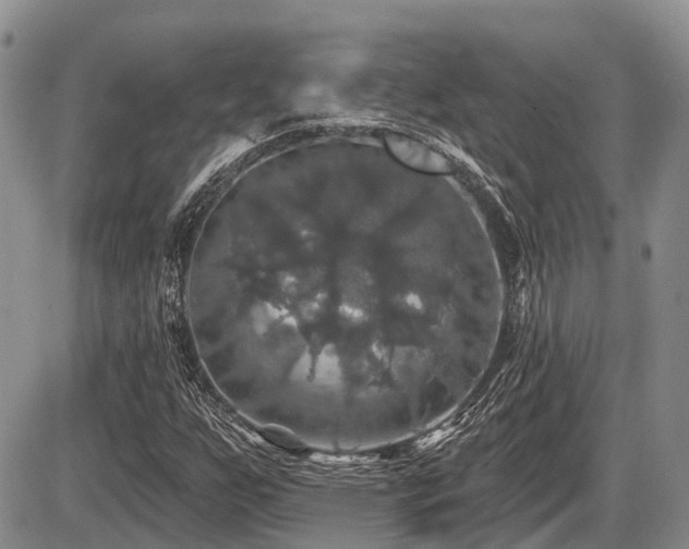 X0000087411255200704201352