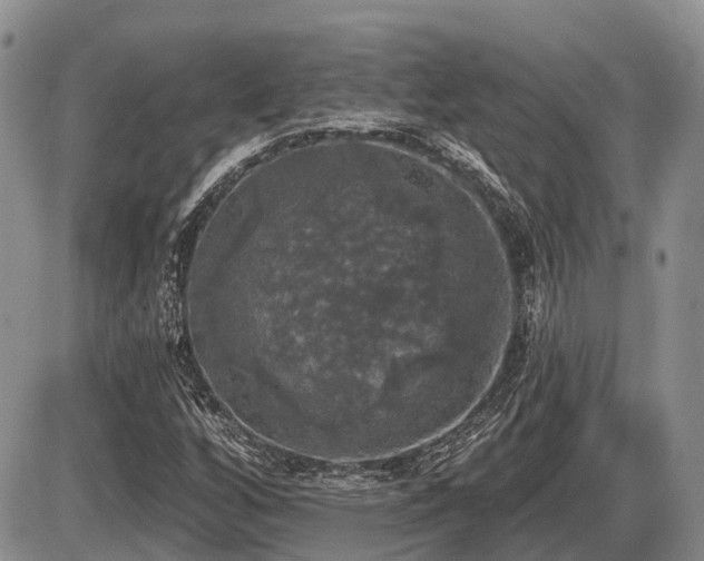 X0000087411256200704201352