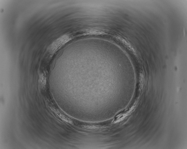 X0000087411257200704201352