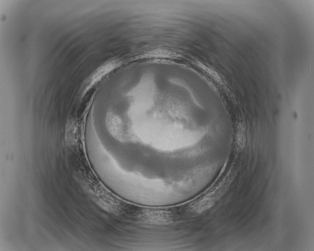 X0000087411258200704201352