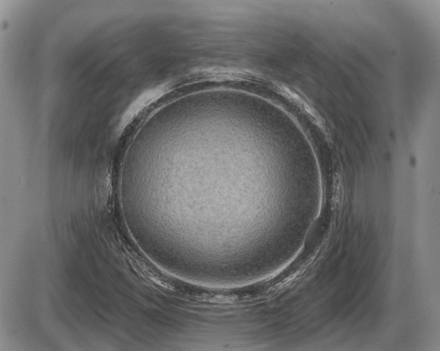 X0000087411261200704201352