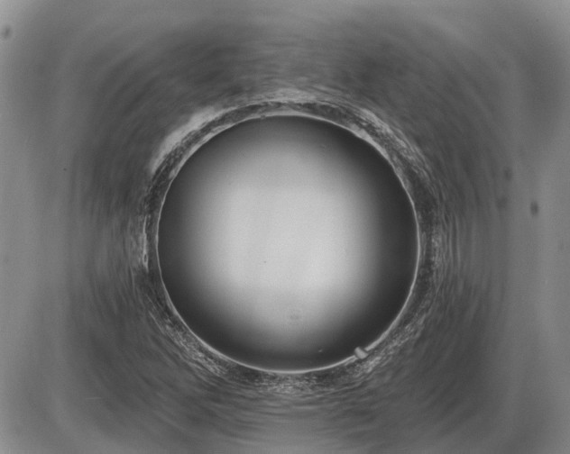 X0000087411262200704201352