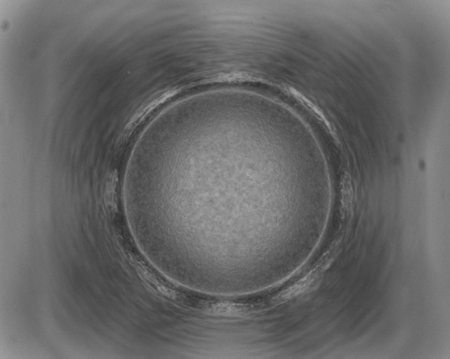 X0000087411265200704201352