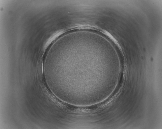 X0000087411269200704201352