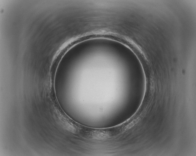 X0000087411270200704201352