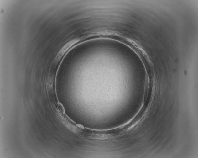 X0000087411273200704201352