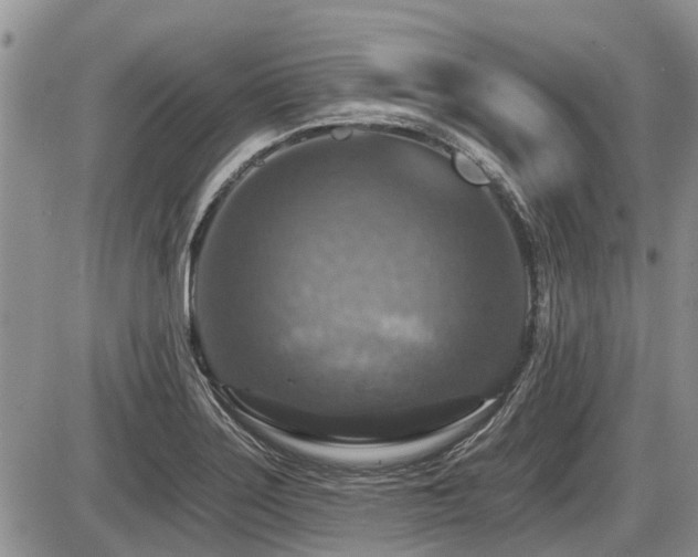 X0000087411275200704201352