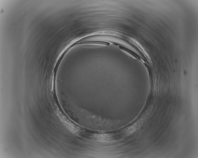 X0000087411276200704201352