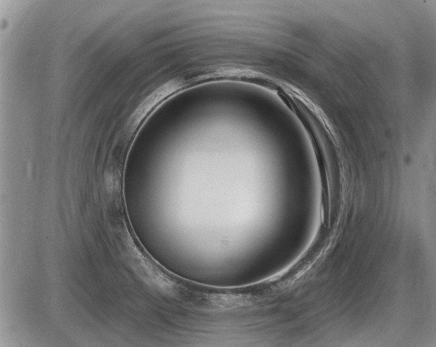 X0000087411281200704201352