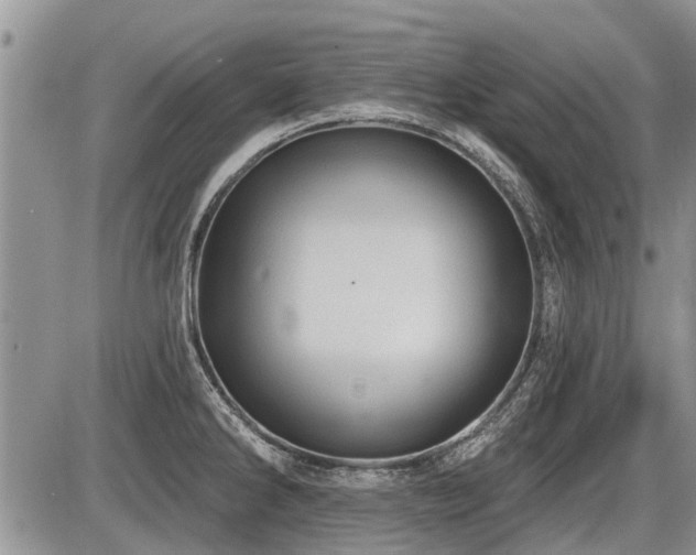 X0000087411286200704201351