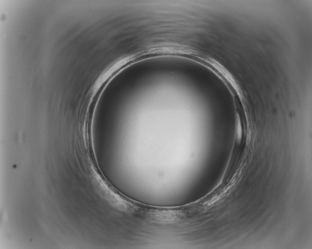 X0000087411293200704201351