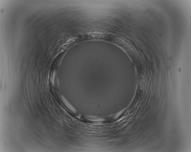 X0000087411298200704201351