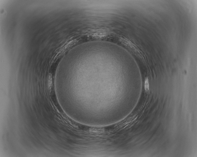 X0000087411299200704201351