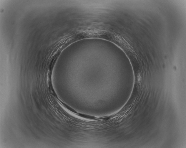 X0000087411300200704201351