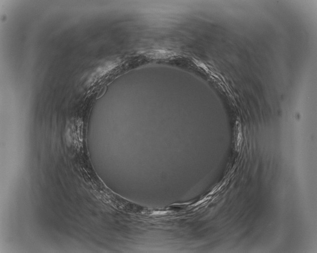 X0000087411301200704201351