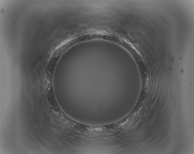 X0000087411303200704201351