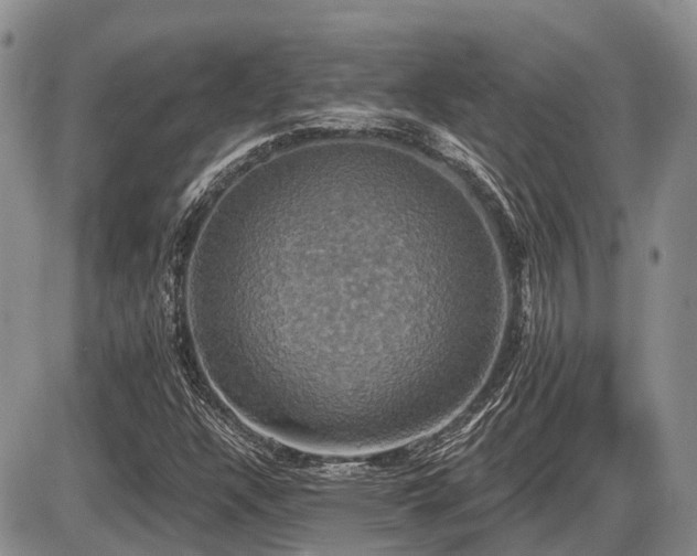 X0000087411304200704201351