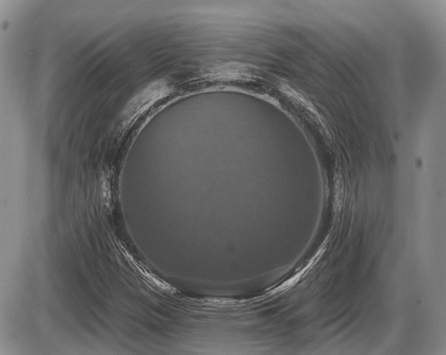 X0000087411305200704201351