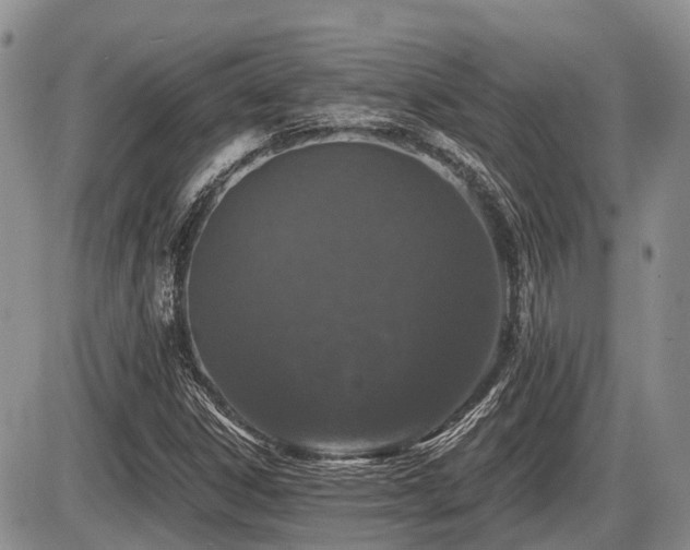 X0000087411306200704201351