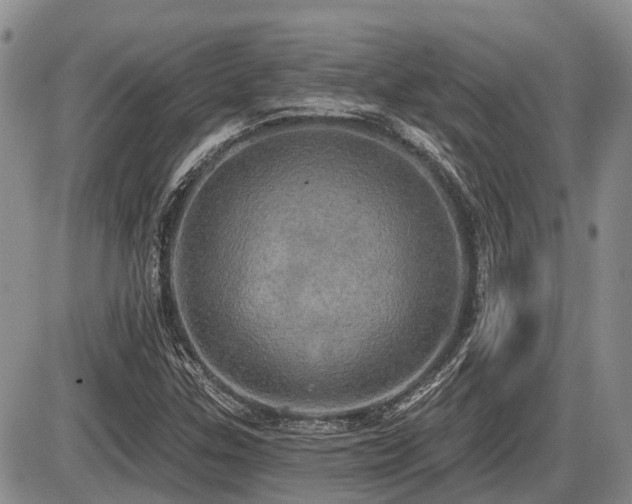 X0000087411307200704201351