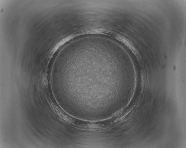 X0000087411308200704201351