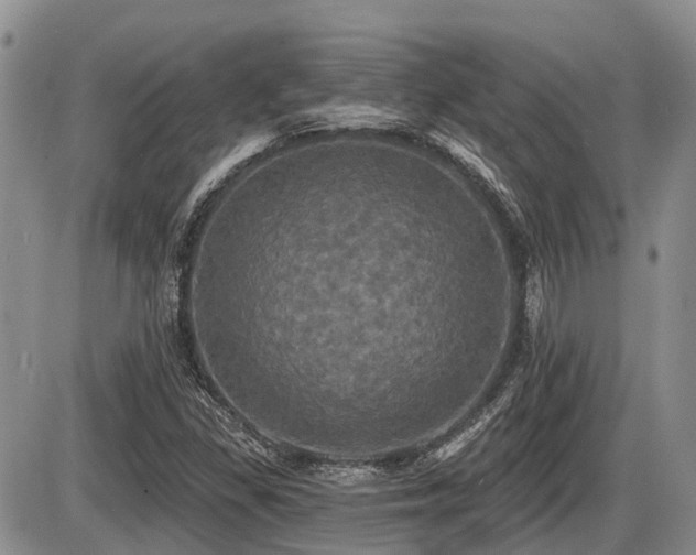 X0000087411309200704201351