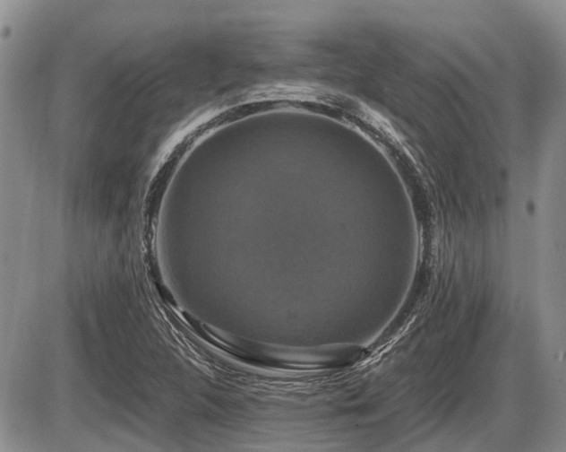 X0000087411312200704201351