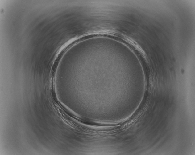X0000087411316200704201351