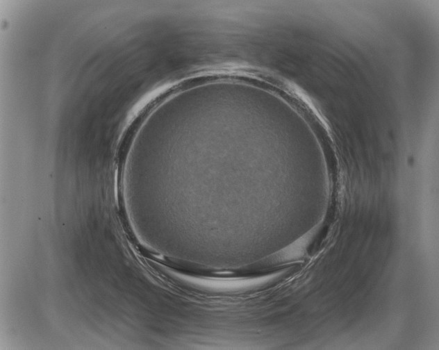 X0000087411320200704201351
