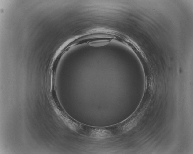 X0000087411323200704201351