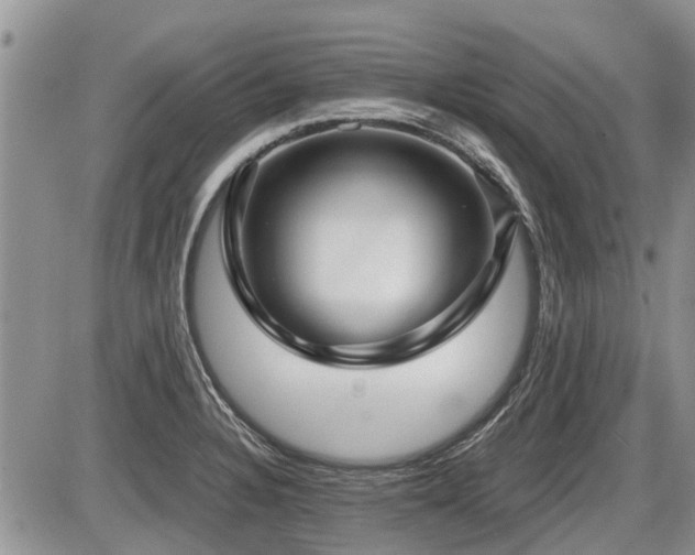 X0000087411328200704201351