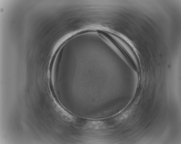 X0000087411335200704201351