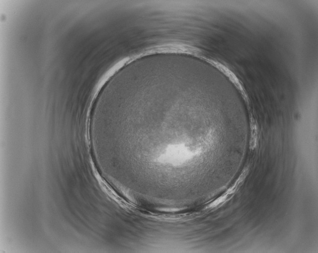 X0000087411342200704201351