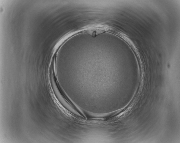X0000087411344200704201351