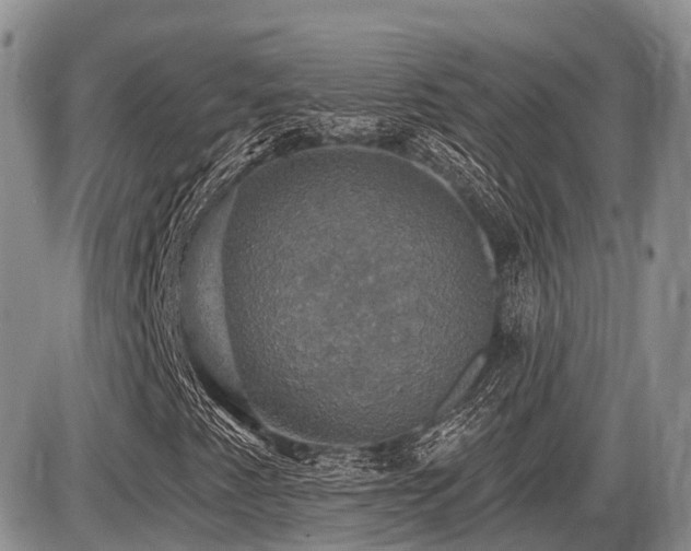 X0000087411345200704201351