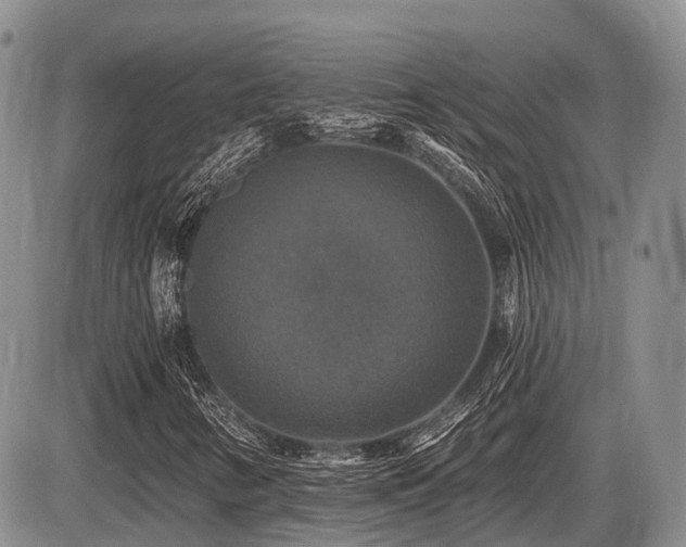 X0000087411346200704201351