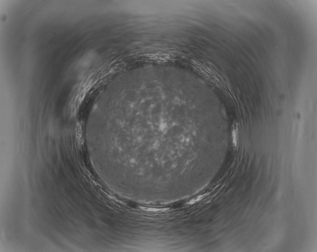 X0000087411347200704201351