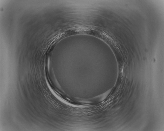 X0000087411348200704201350