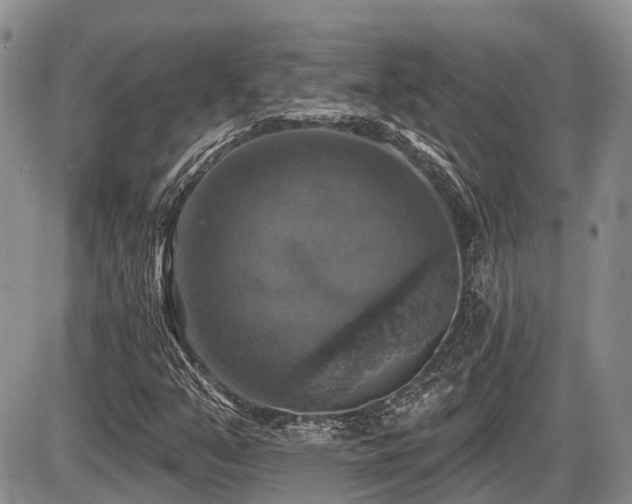 X0000087411351200704201350