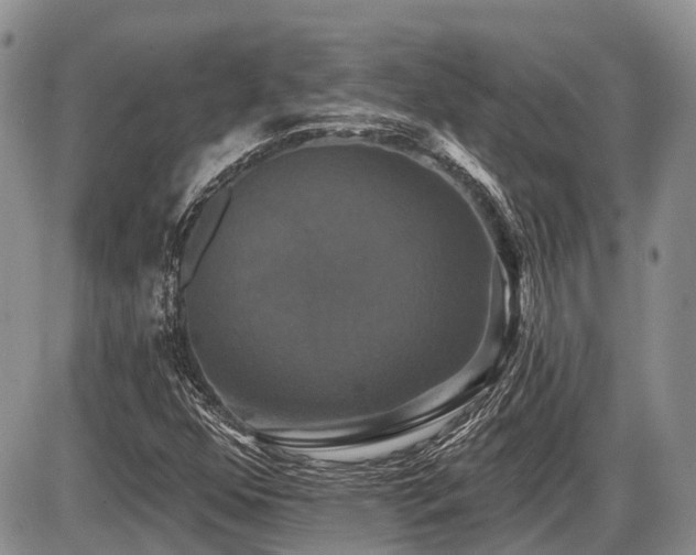 X0000087411352200704201350