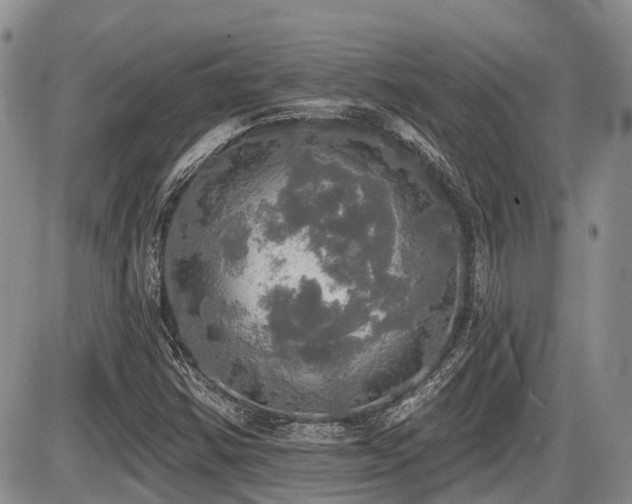 X0000087411354200704201350