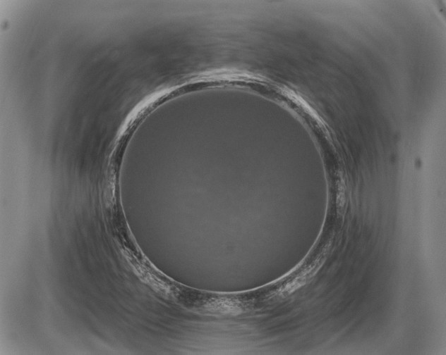 X0000087411358200704201350