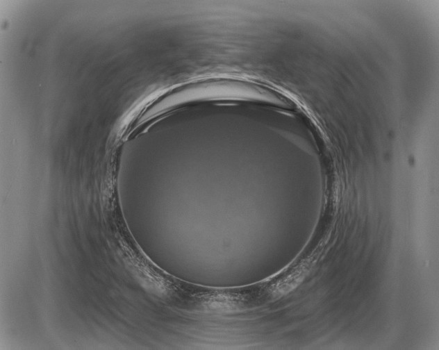 X0000087411359200704201350
